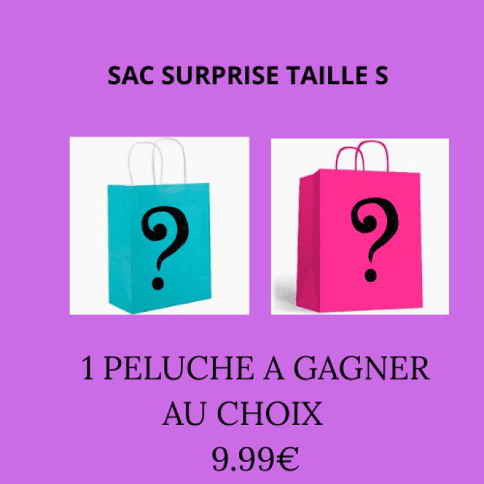 PETIT SAC SURPRISE 100% GAGNANT 