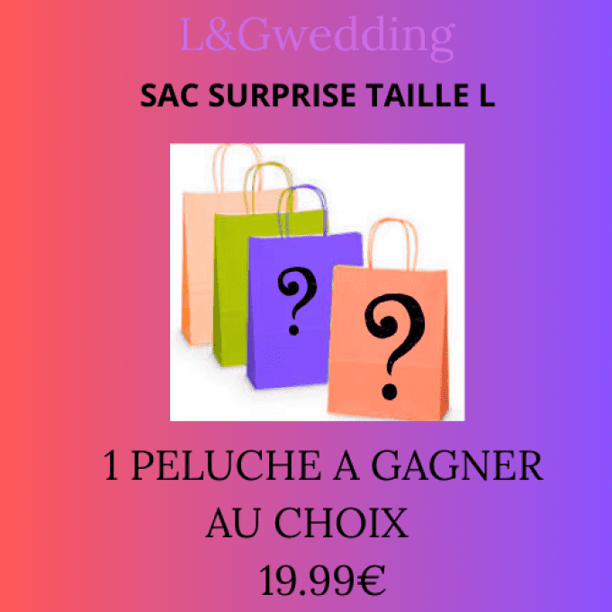 GRAND SAC SURPRISE L 100% GAGNANT 