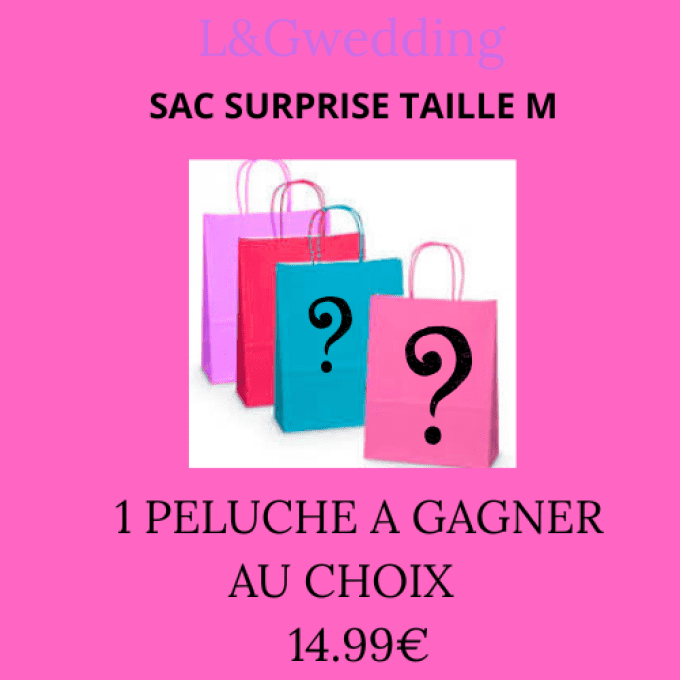 MOYEN SAC SURPRISE TAILLE  100% GAGNANT 
