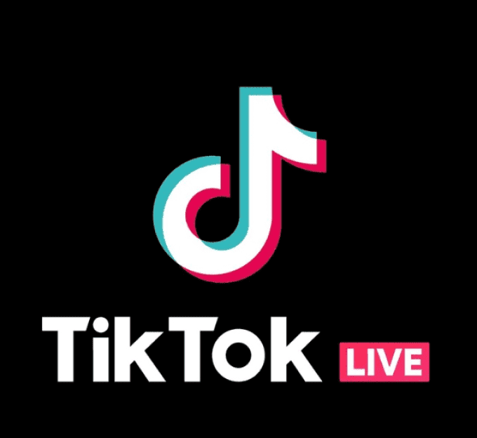 PANIER 1 TIK TOK GUILAINE 