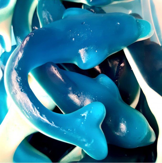 dauphin géant vendu a l'unité