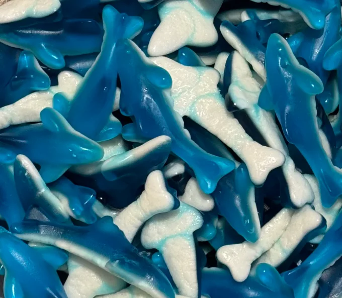 requin trolly  (100G)