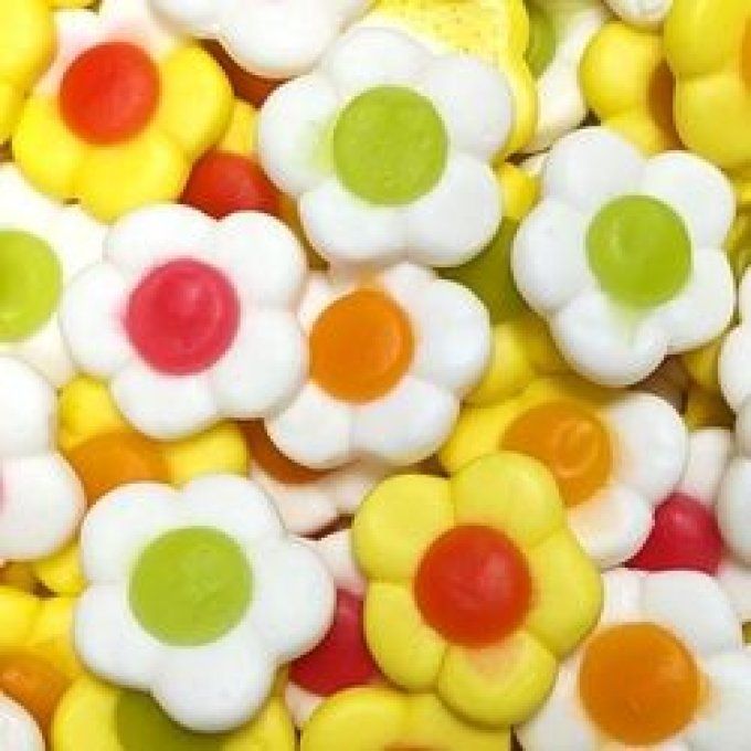 Marguerite daisies (100G)