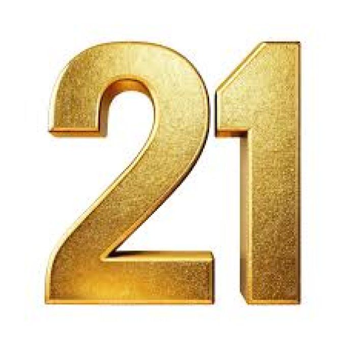 panier 21 ludivine L